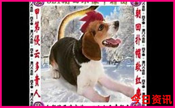 蚌埠出发自驾游三天最适合路线
